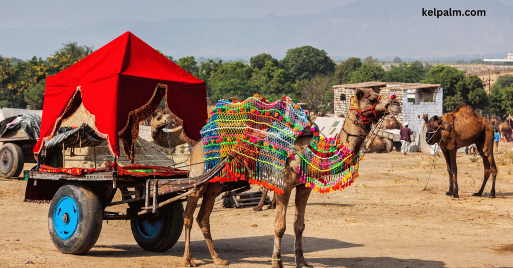 Pushkar, Rajasthan