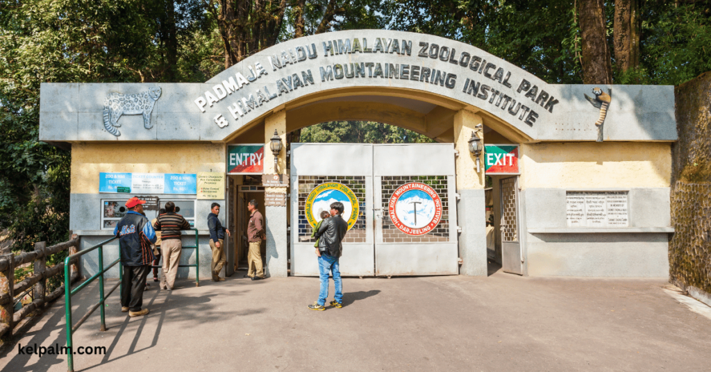 Padmaja Naidu Himalayan Zoological Park