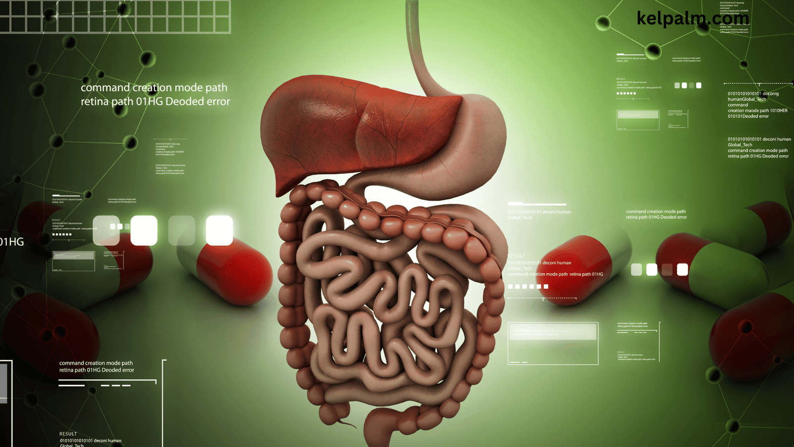 Digestion of Food